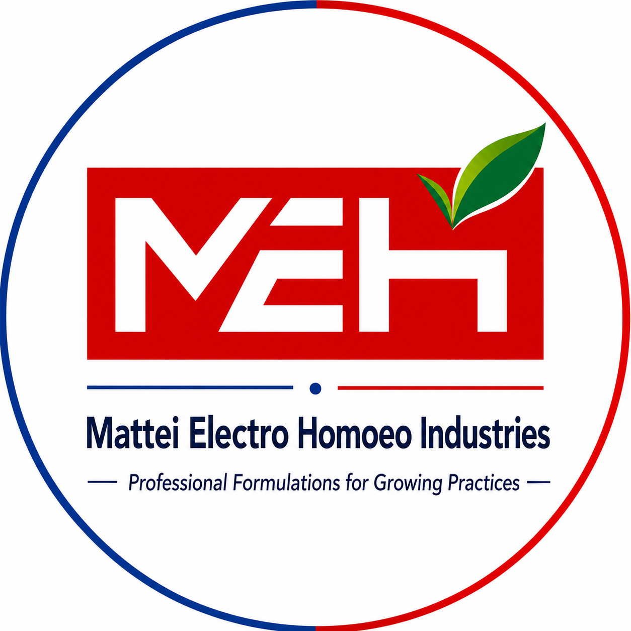 Mattei Electro Homoeo Industries